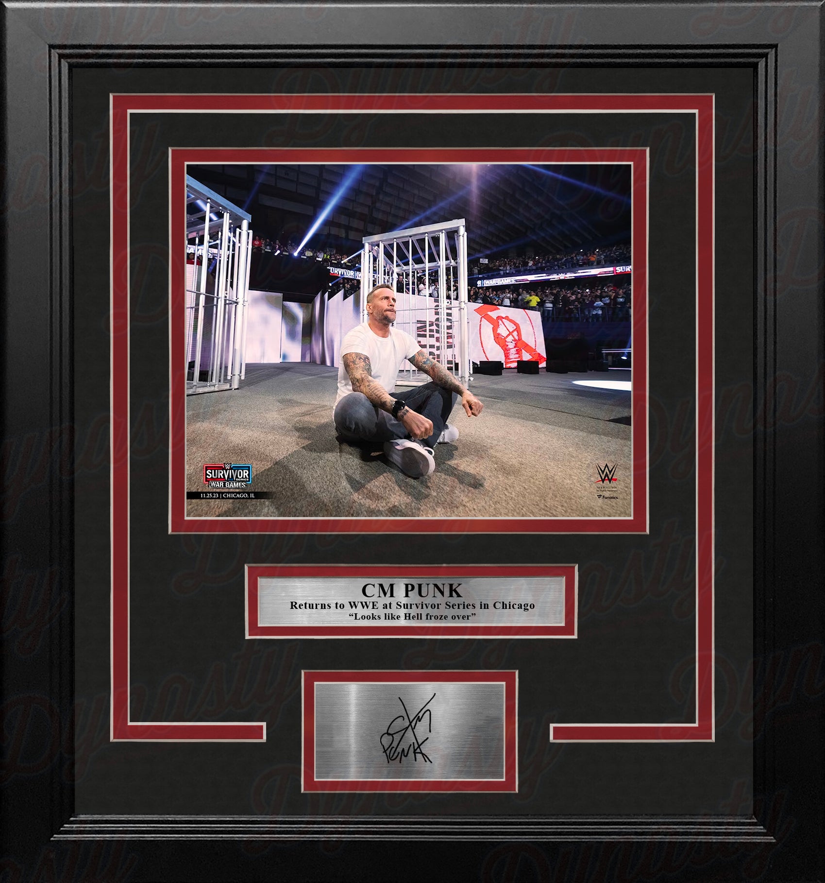 Popular WWE Survivor Series CM Punk Autographed Plaque