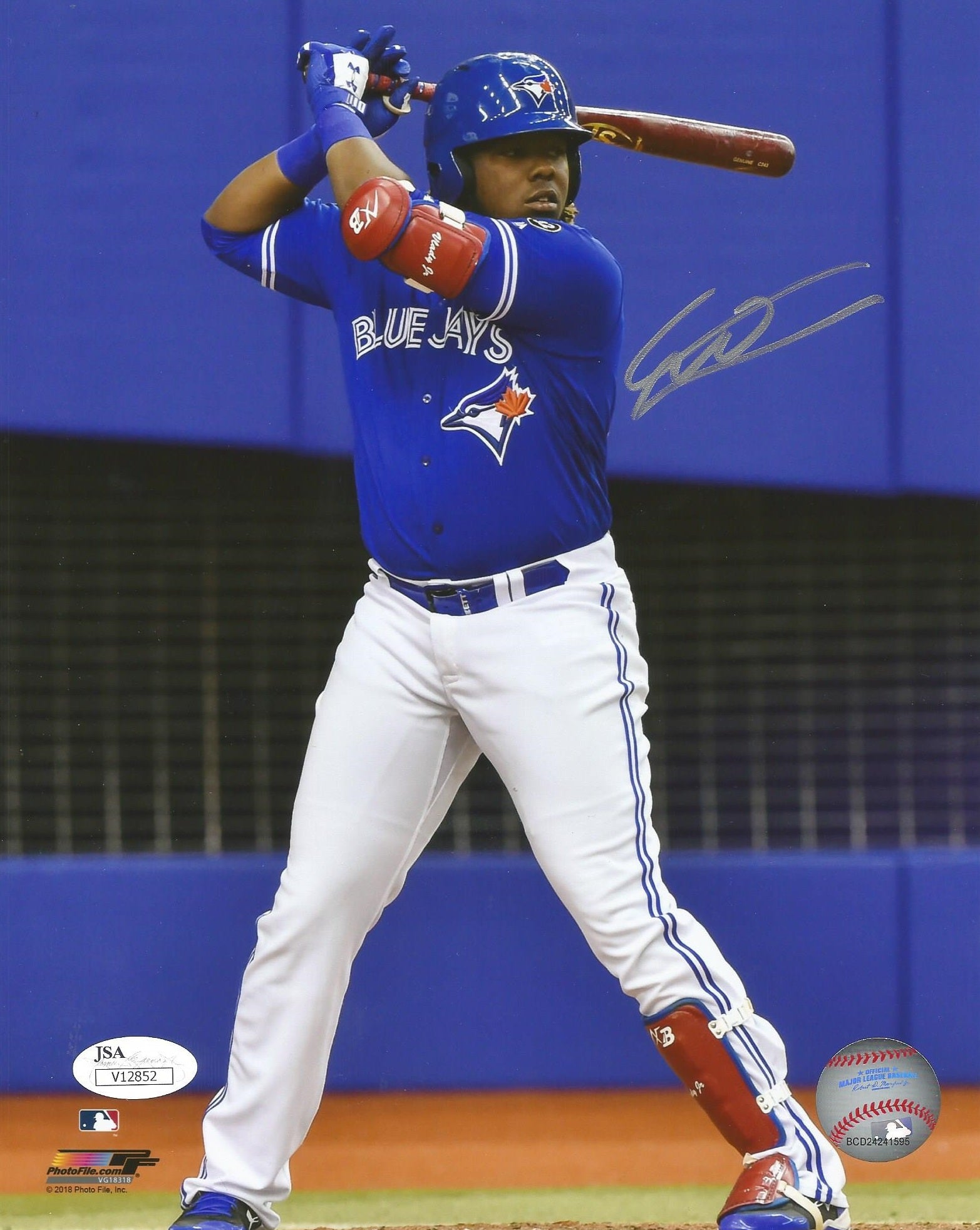 Vladimir Guerrero, Jr. At-Bat Toronto Blue Jays Autographed Baseball Photo