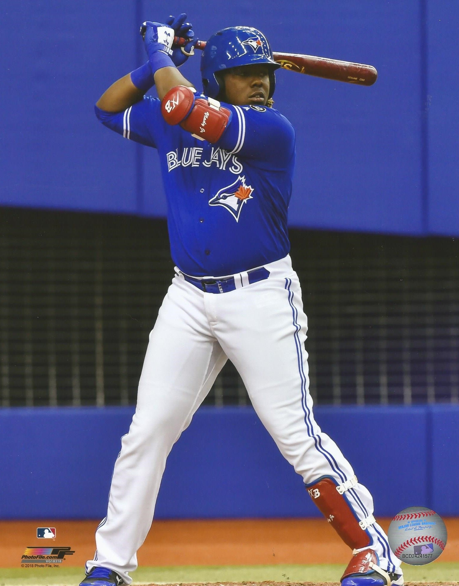 Vladimir Guerrero Jr. Toronto Blue Jays Unsigned Vertical Batting Stance  Photograph