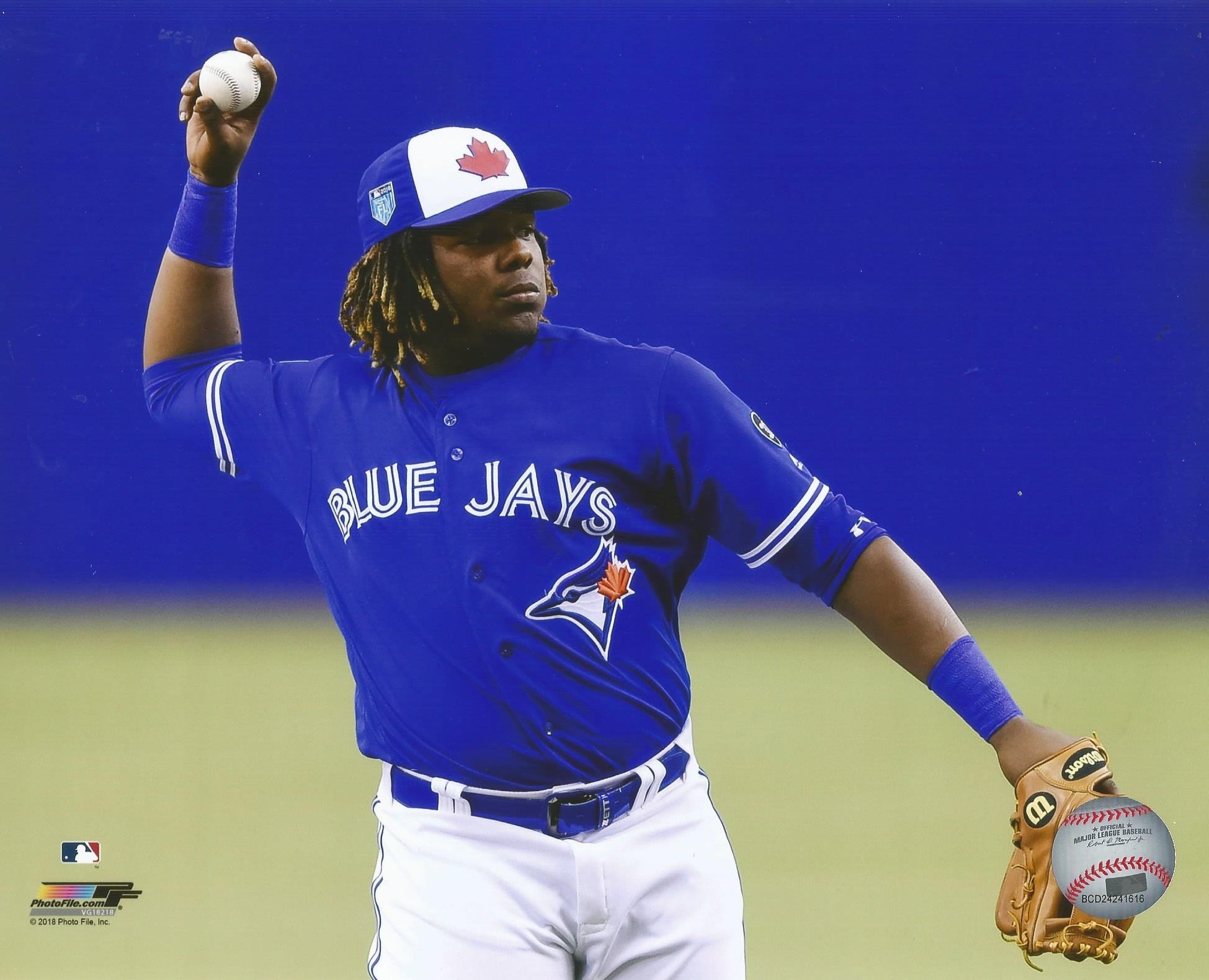 2019 All-Star Game Work Out Day Batting Practice Used Jersey - Vladimir  Guerrero Jr. (Toronto Blue Jays)