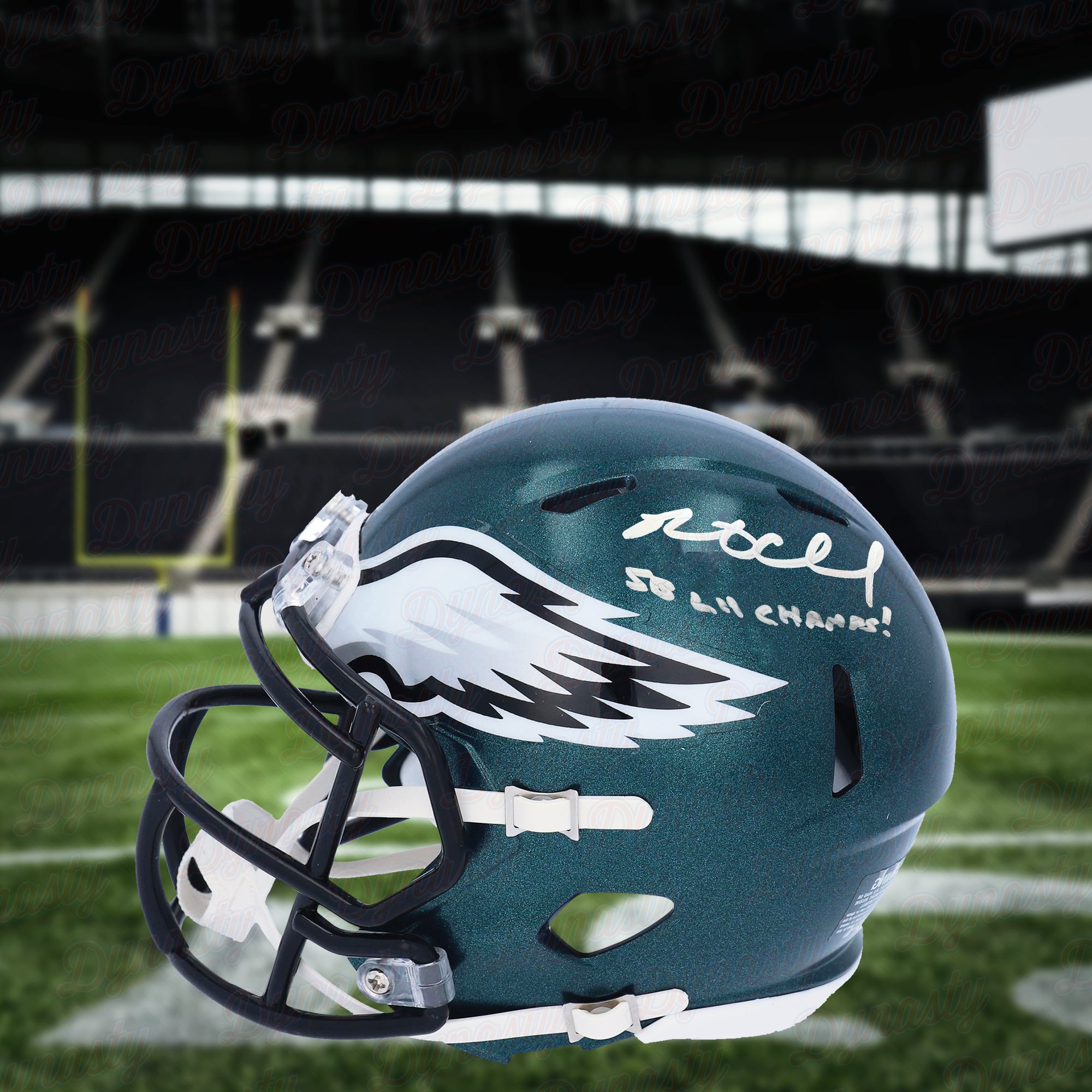 Philadelphia Eagles NFL Collectible Mini Helmet, Picture Inside