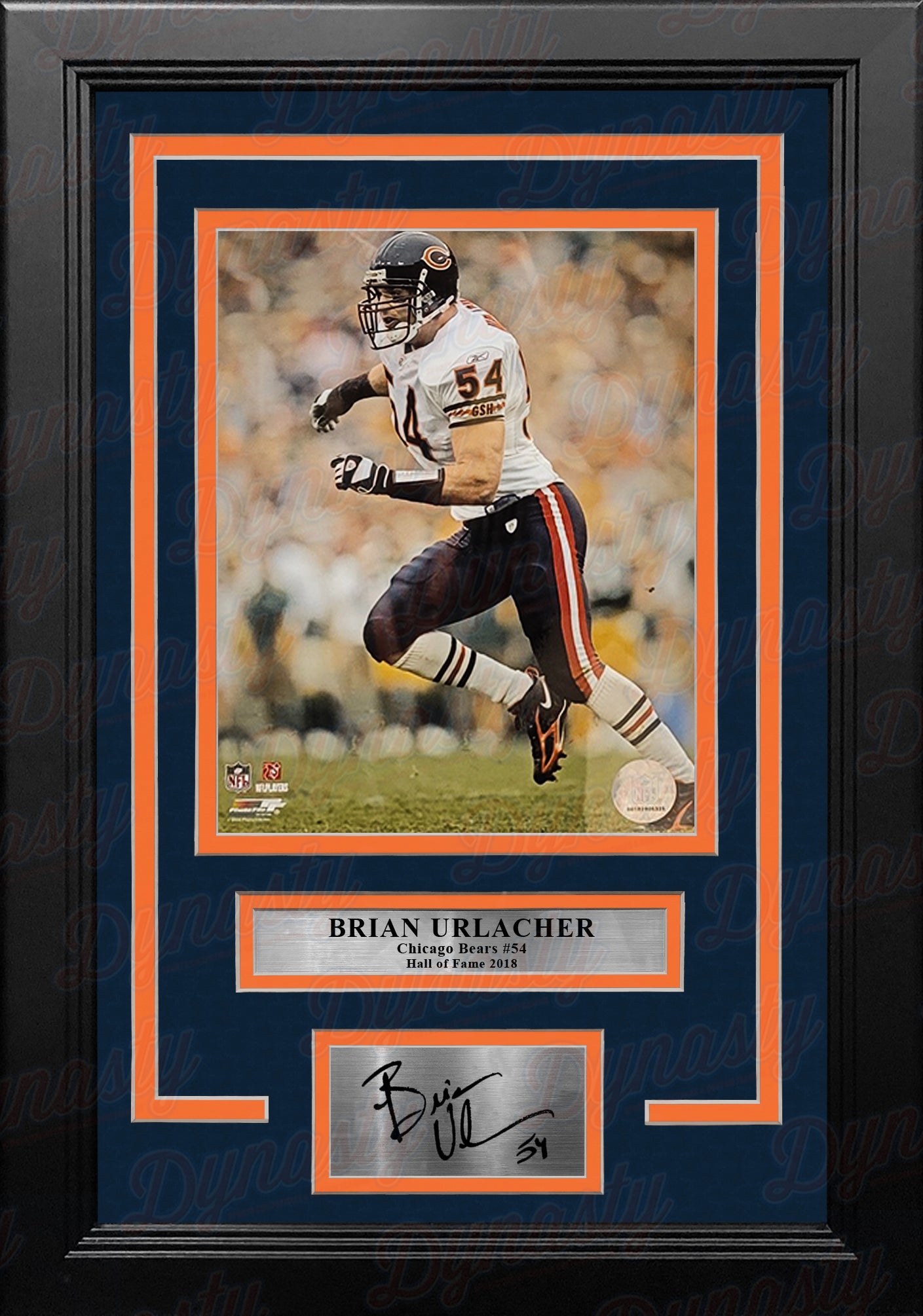 Brian Urlacher in Action Chicago Bears 8' x 10' Framed Football Photo with  Engraved Autograph