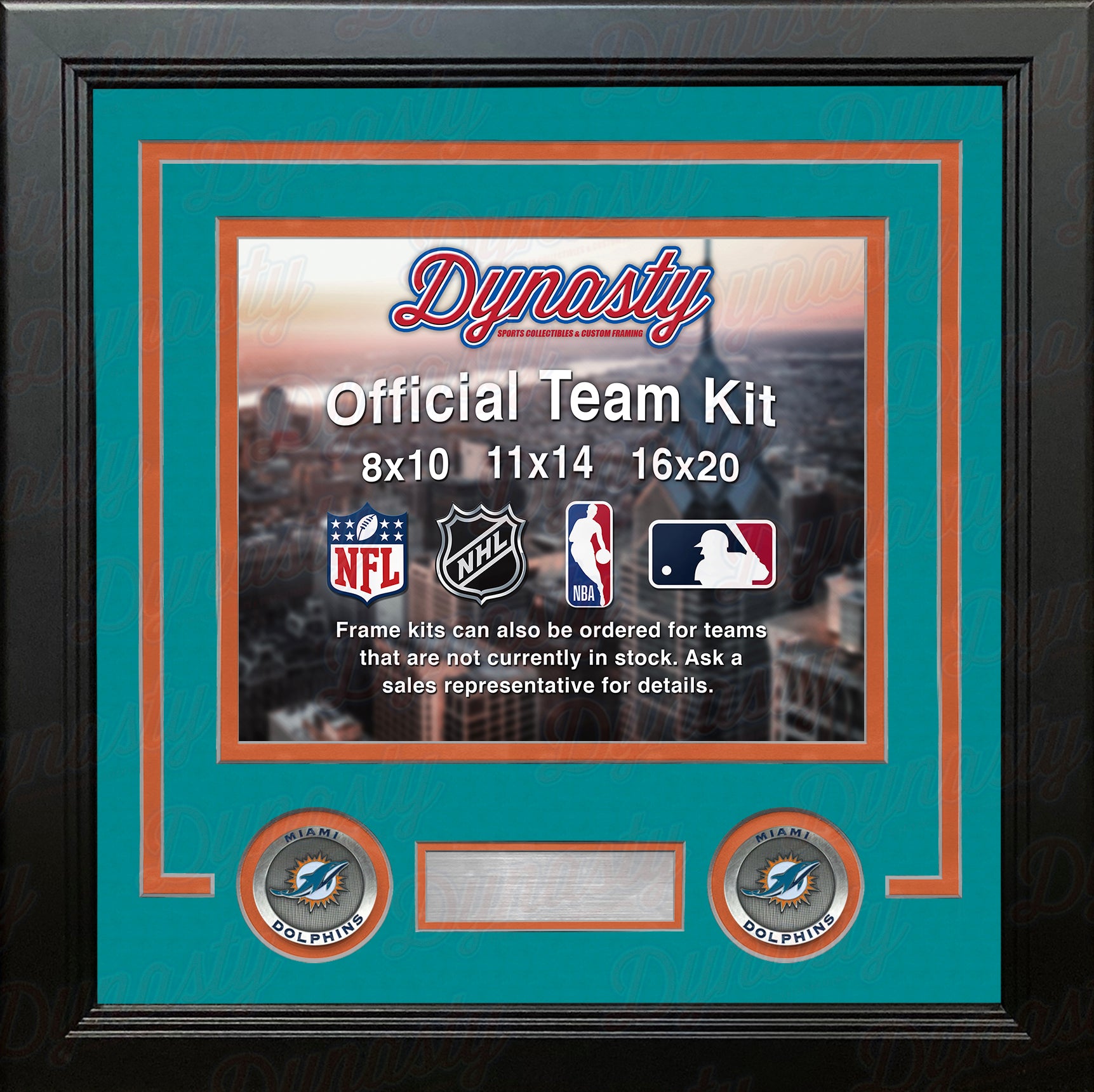 NFL - Miami Dolphins Framed Wall Mounted Logo Cap Display Case