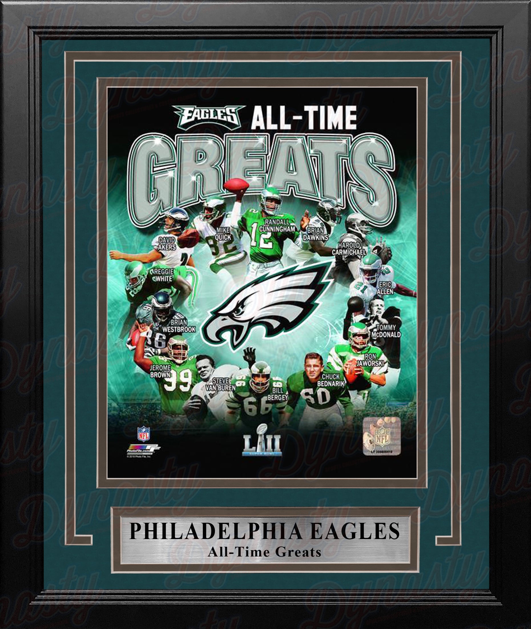 Philadelphia Eagles vs. Pittsburgh Steelers Fanatics Authentic Framed 10 x 20 House Divided Football Collage