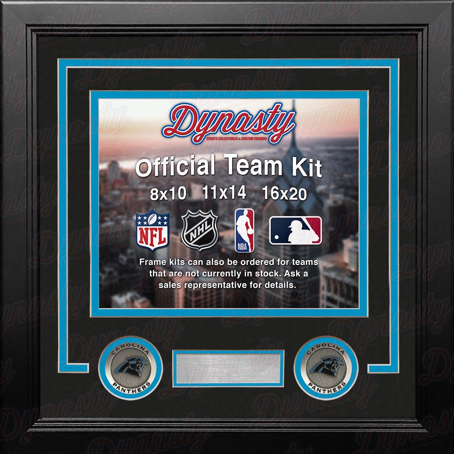 Carolina Panthers Framed 15 x 17 Team Threads Collage