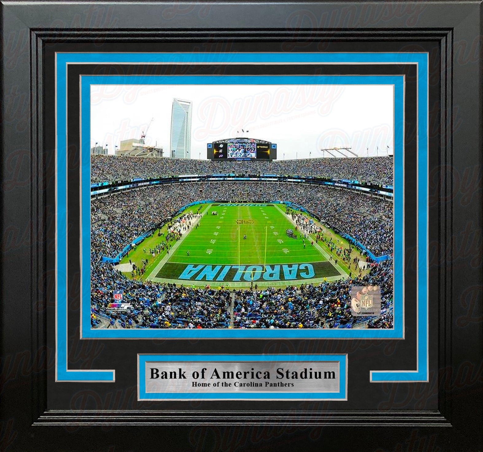 Carolina Panthers Bank of America Stadium NFL Football 8 x 10 Framed and  Matted Photo