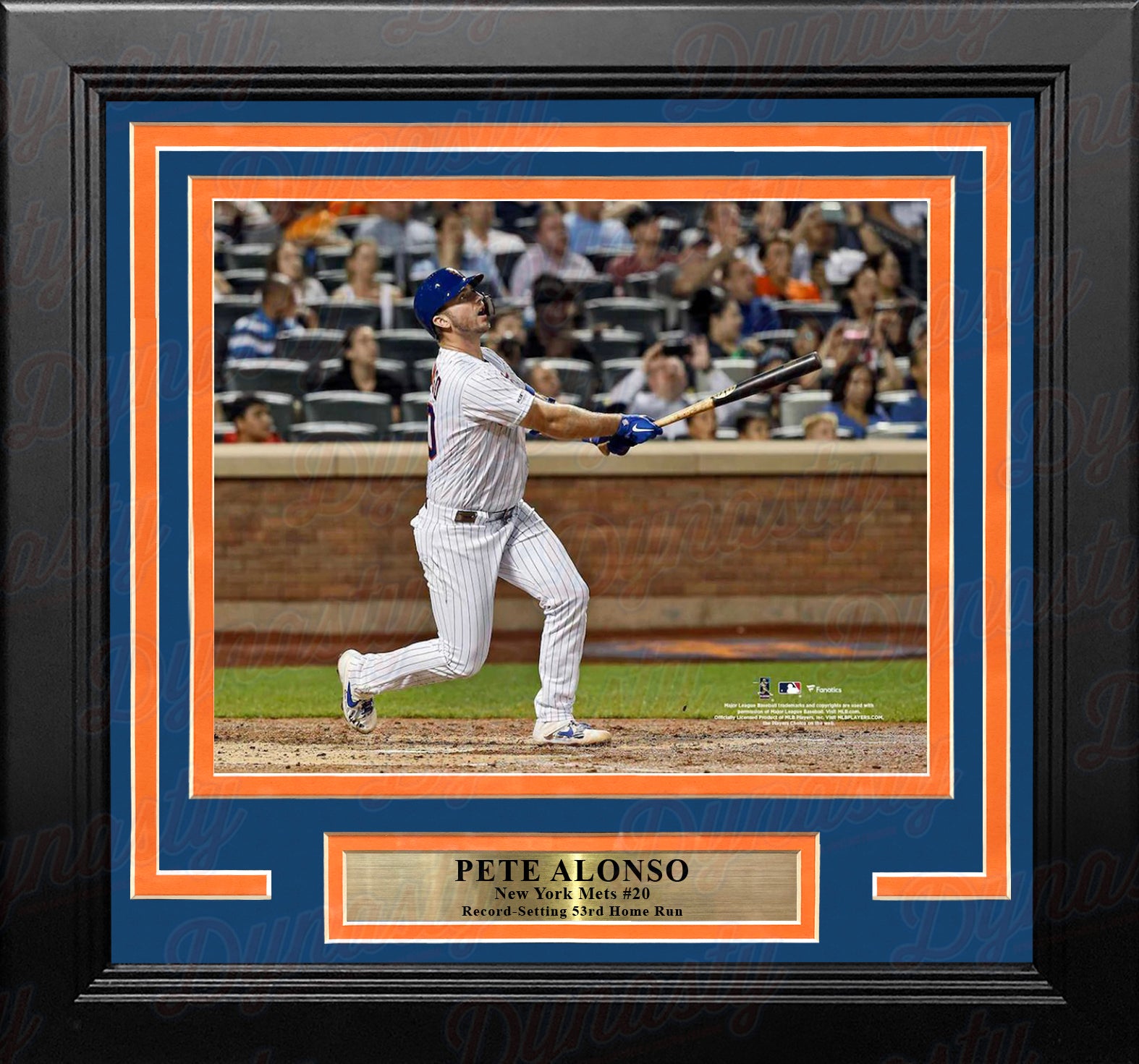 Pete Alonso Record-Breaking Home Run New York Mets 8 x 10 Baseball Photo  at 's Sports Collectibles Store