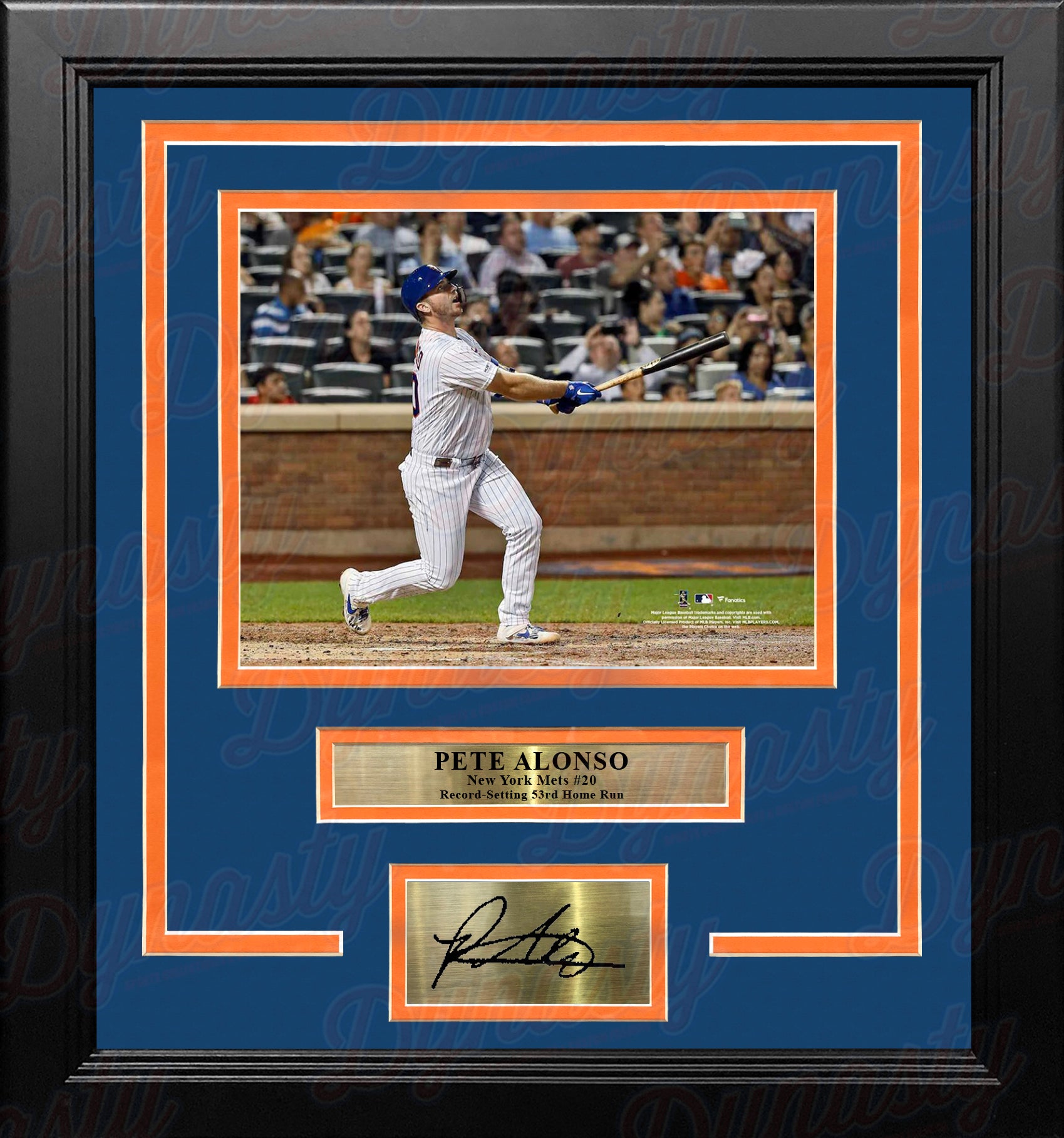 Pete Alonso Record-Breaking Home Run New York Mets 8 x 10 Baseball Photo  at 's Sports Collectibles Store