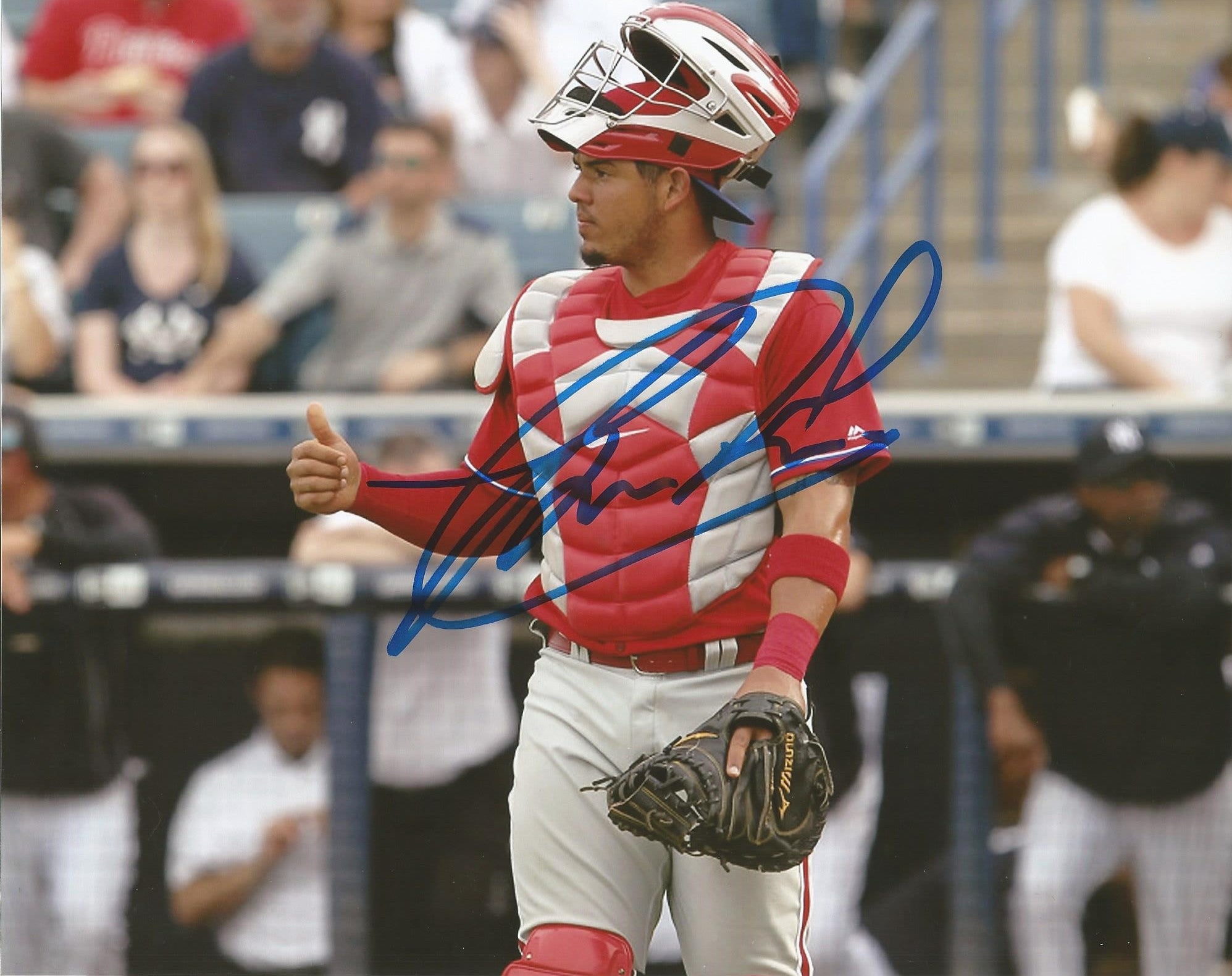 Jorge Alfaro Philadelphia Phillies Throw Autographed MLB Baseball Photo  Inscribed 'Oso' - Dynasty Sports & Framing