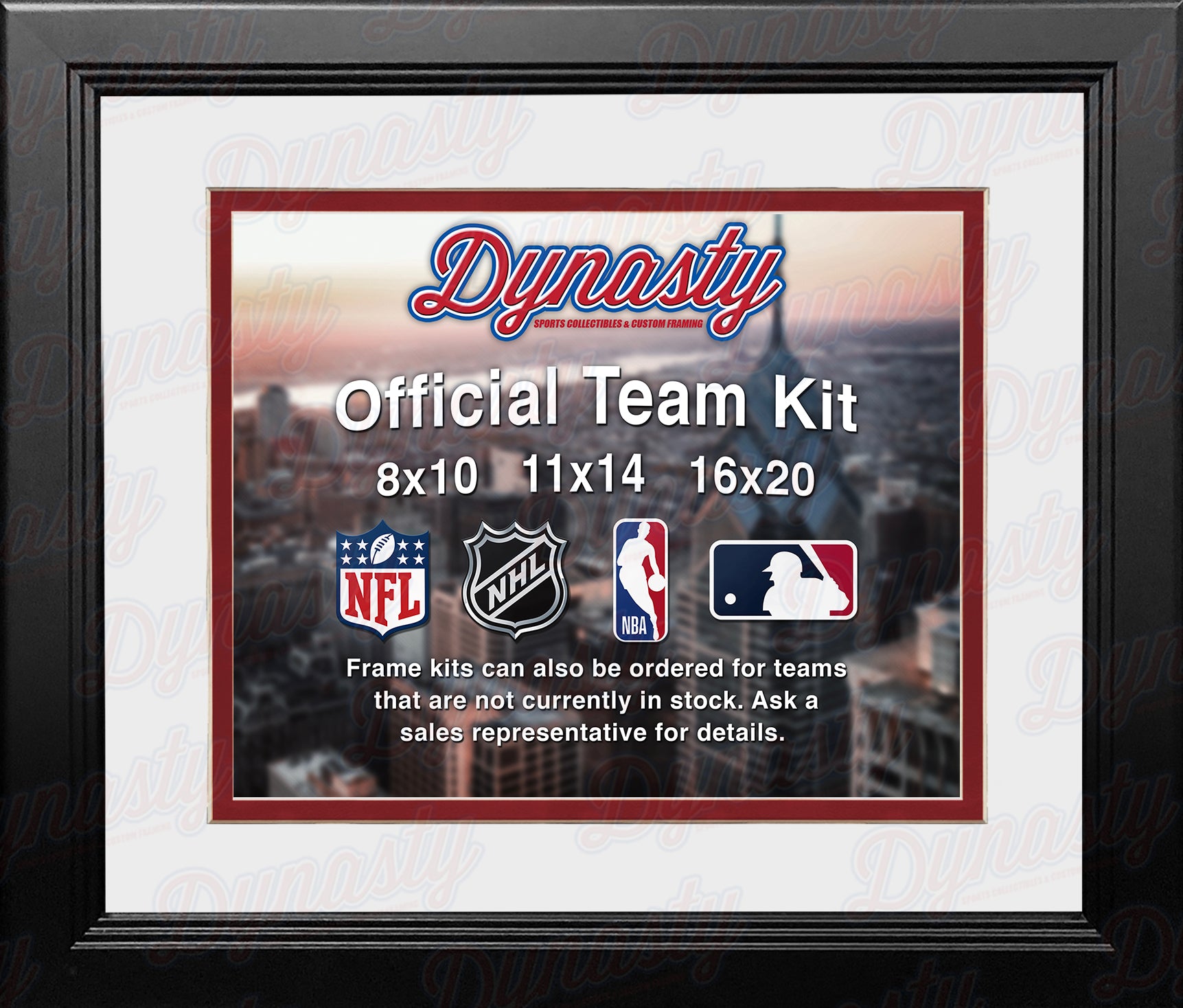 MLB Baseball Photo Picture Frame Kit - St. Louis Cardinals (Red Matting,  Gray Trim) - Dynasty Sports & Framing