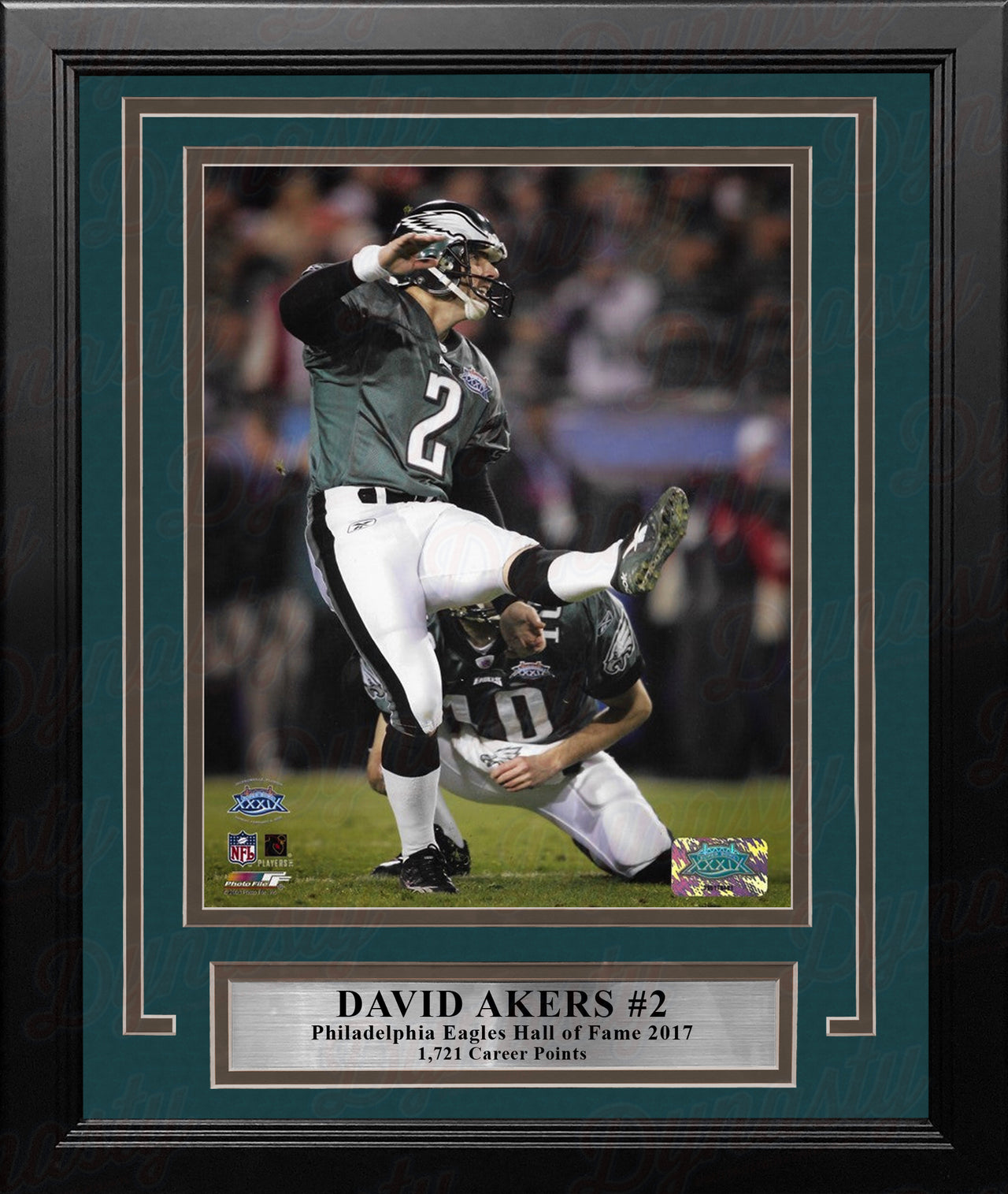 David Akers Super Bowl XXXIX Philadelphia Eagles 8" x 10" Framed Football Photo