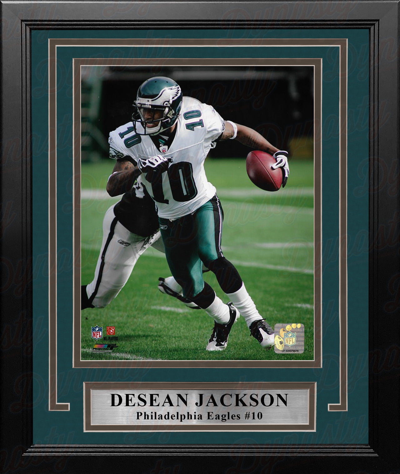 DeSean Jackson in Action Philadelphia Eagles 8" x 10" Framed Football Photo