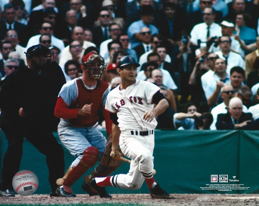 Carl Yastrzemski in Action Boston Red Sox 8" x 10" Baseball Photo