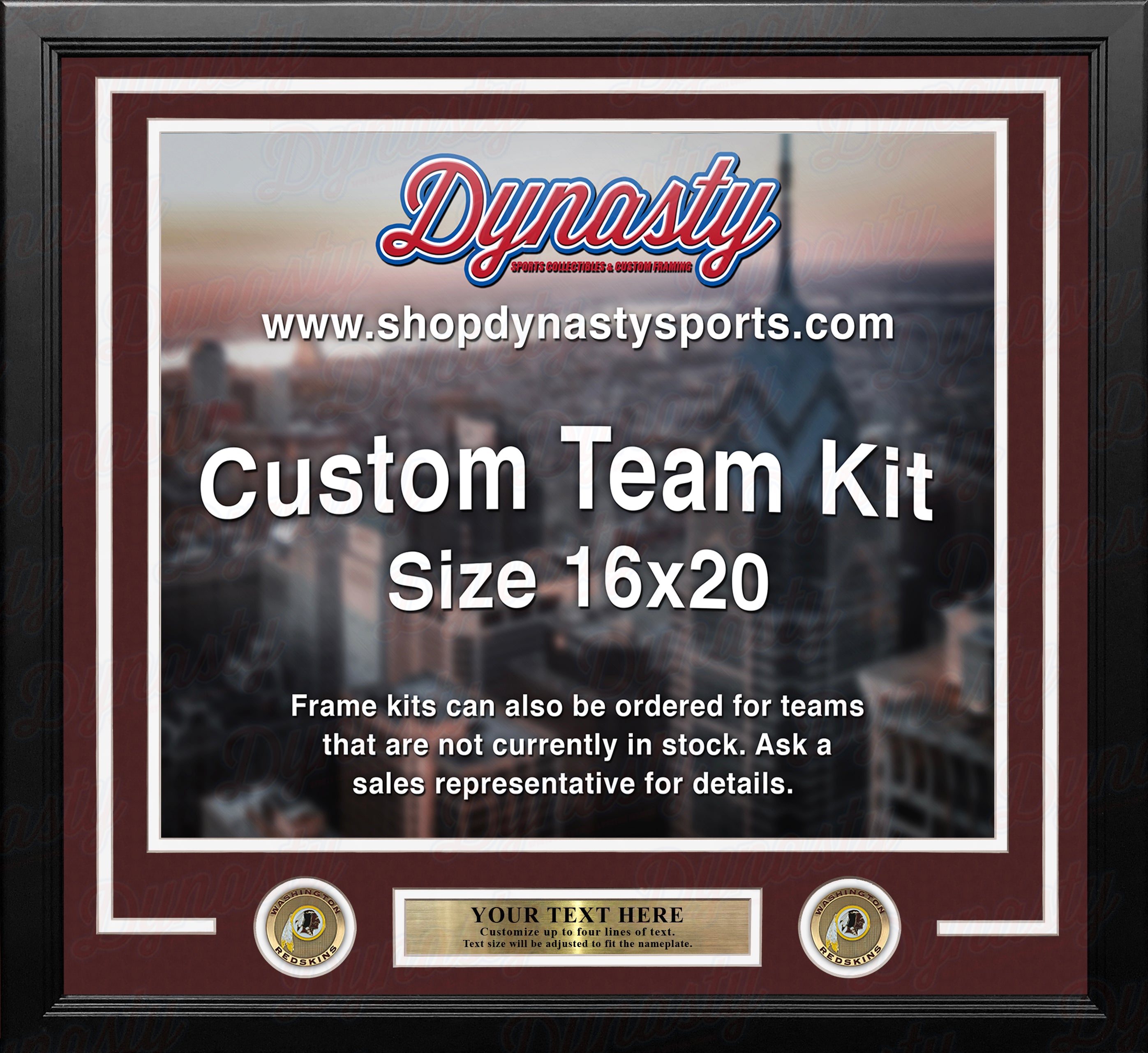 WASHINGTON REDSKINS newest Medallion Frame Kit