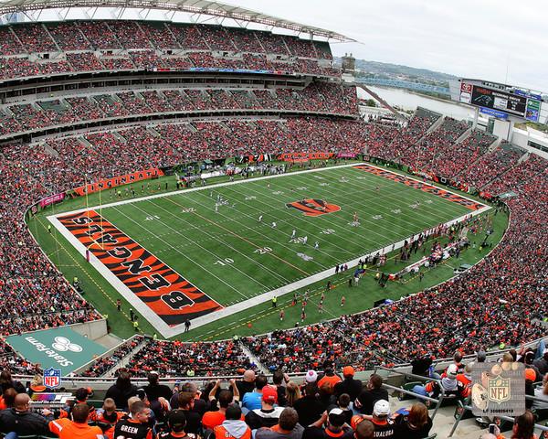 Bengals_Stadium_-_AARK141.jpg?v=1597491190&width=1280