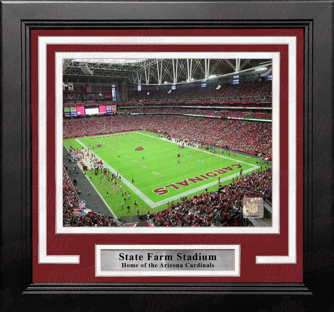 Carolina Panthers Bank of America Stadium NFL Football 8 x 10 Framed and  Matted Photo