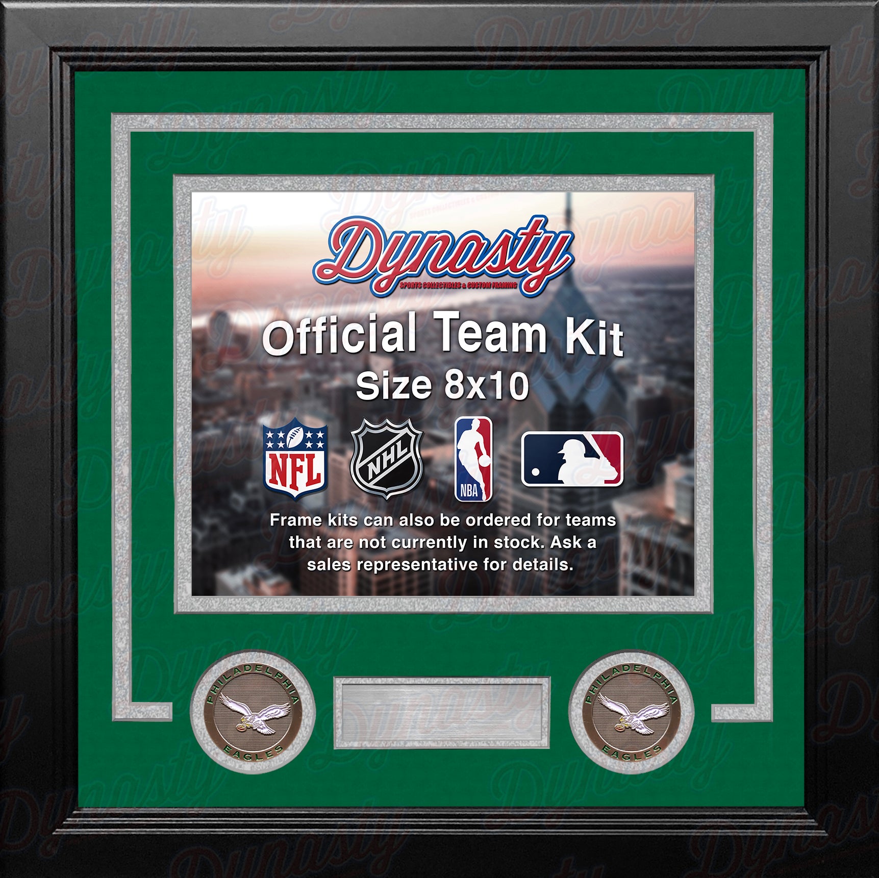 PITTSBURGH STEELERS popular Medallion Frame Kit