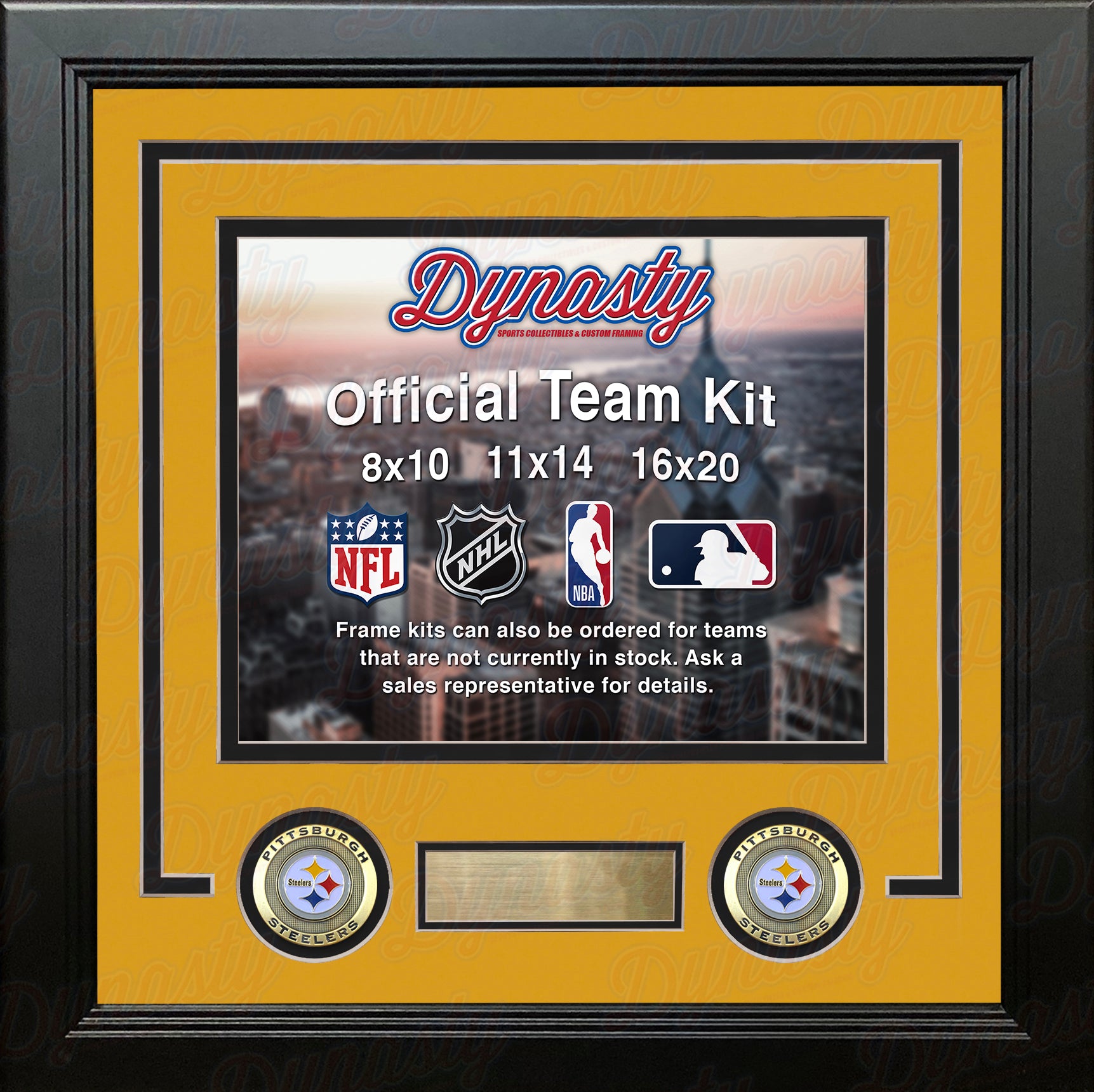 PITTSBURGH STEELERS Medallion Frame 2024 Kit